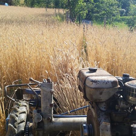 Azienda Agrituristica Risveglio Naturale Varese Ligure Eksteriør billede